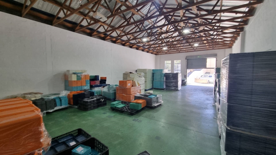 To Let commercial Property for Rent in Observatory Western Cape